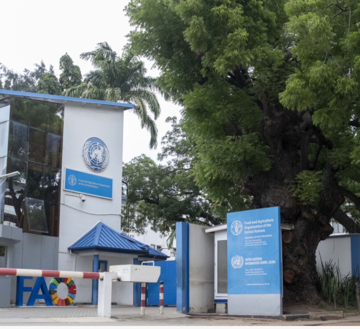 food and agriculture organization of the united nations